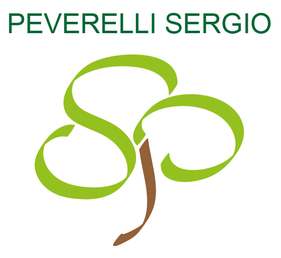 SergioPeverelli
